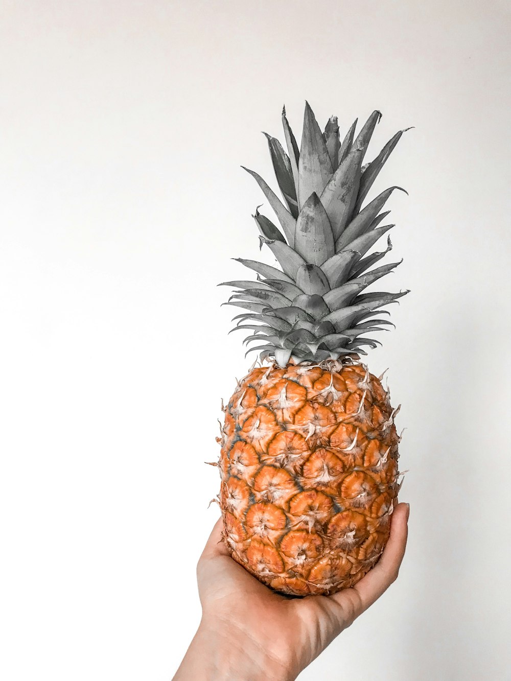 pineapple fruit on persons hand