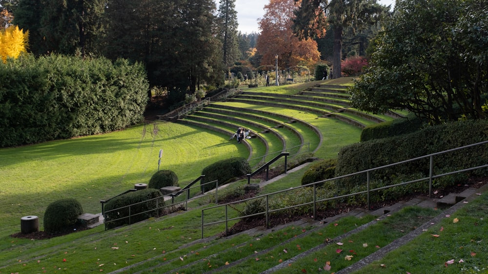 Campo de hierba verde con árboles