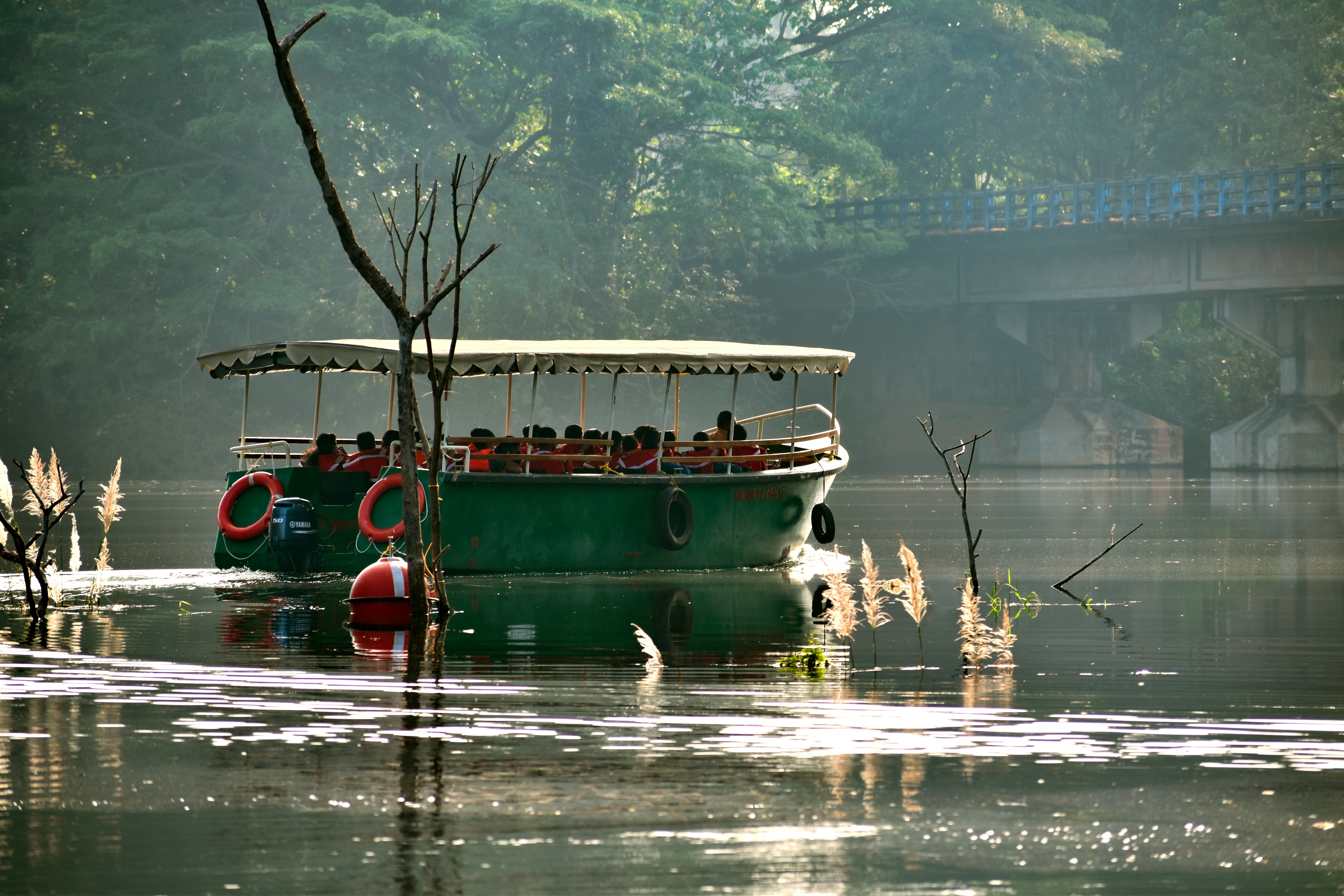 Photo by rajeshrajx8