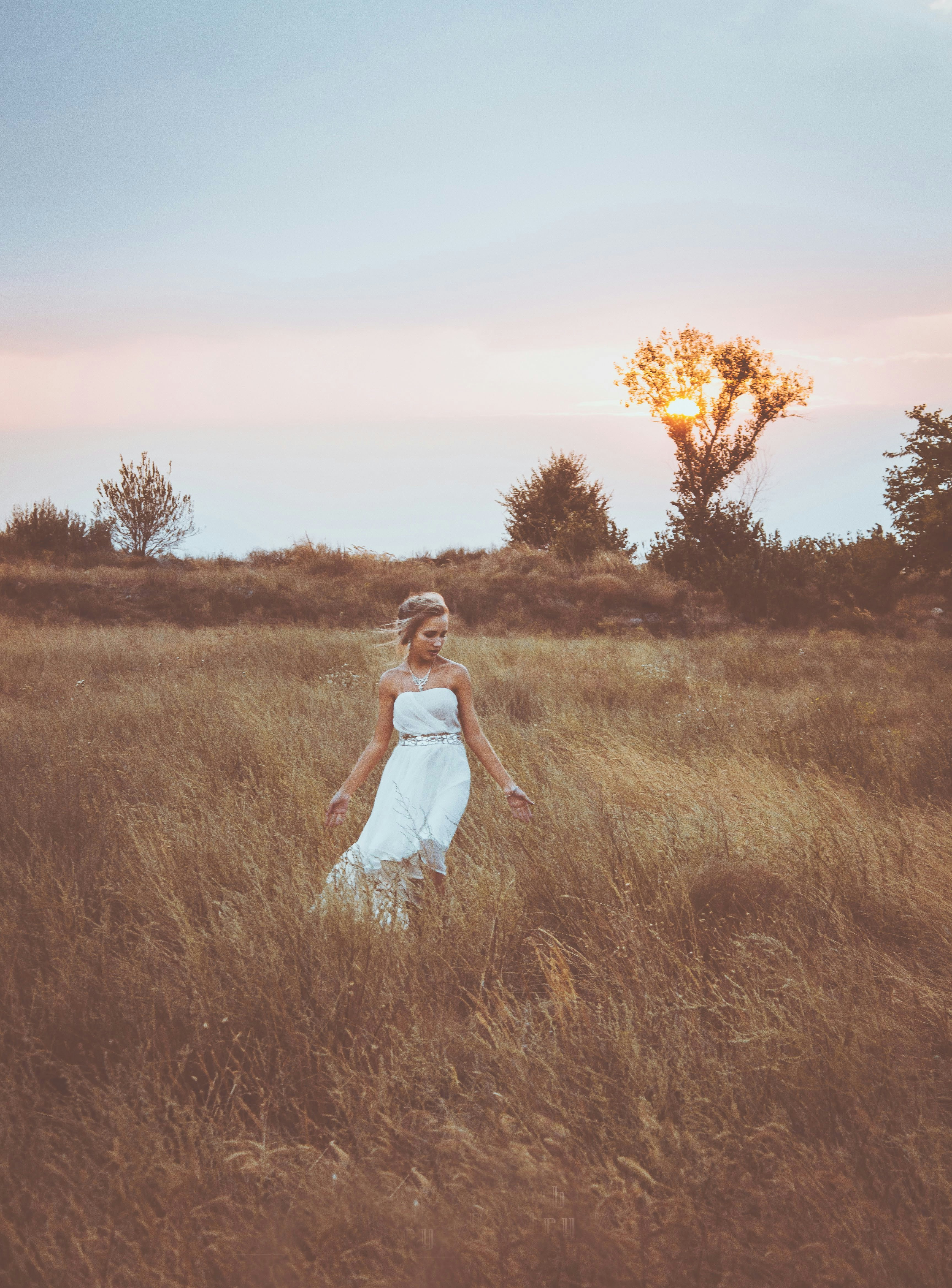 Photo by animgraphlab