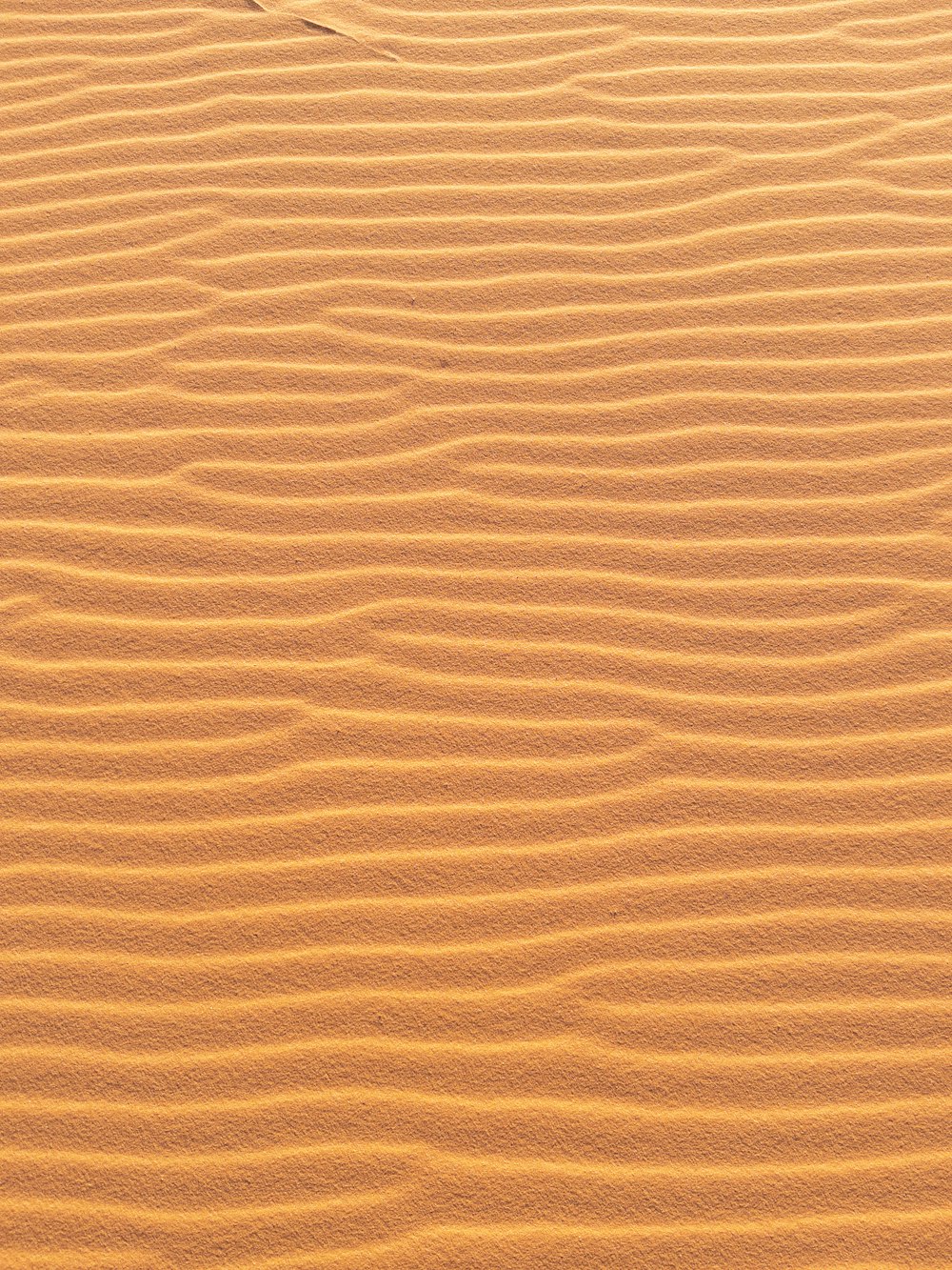 sable brun avec l’ombre de la personne
