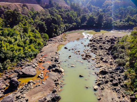 A river with clear greenish water flows through a rocky landscape surrounded by lush, dense forests. Large boulders and smaller rocks are scattered along the riverbanks and within the water. Sunlight filters through the trees, highlighting the contrast between the greenery and the earthy tones of the rocks.