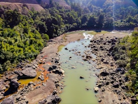 A river with clear greenish water flows through a rocky landscape surrounded by lush, dense forests. Large boulders and smaller rocks are scattered along the riverbanks and within the water. Sunlight filters through the trees, highlighting the contrast between the greenery and the earthy tones of the rocks.