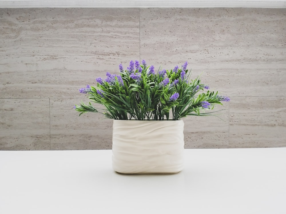 purple flowers on white ceramic vase