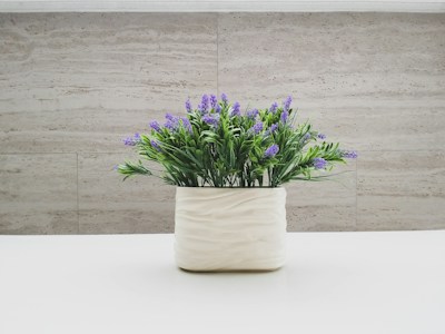 Lavender