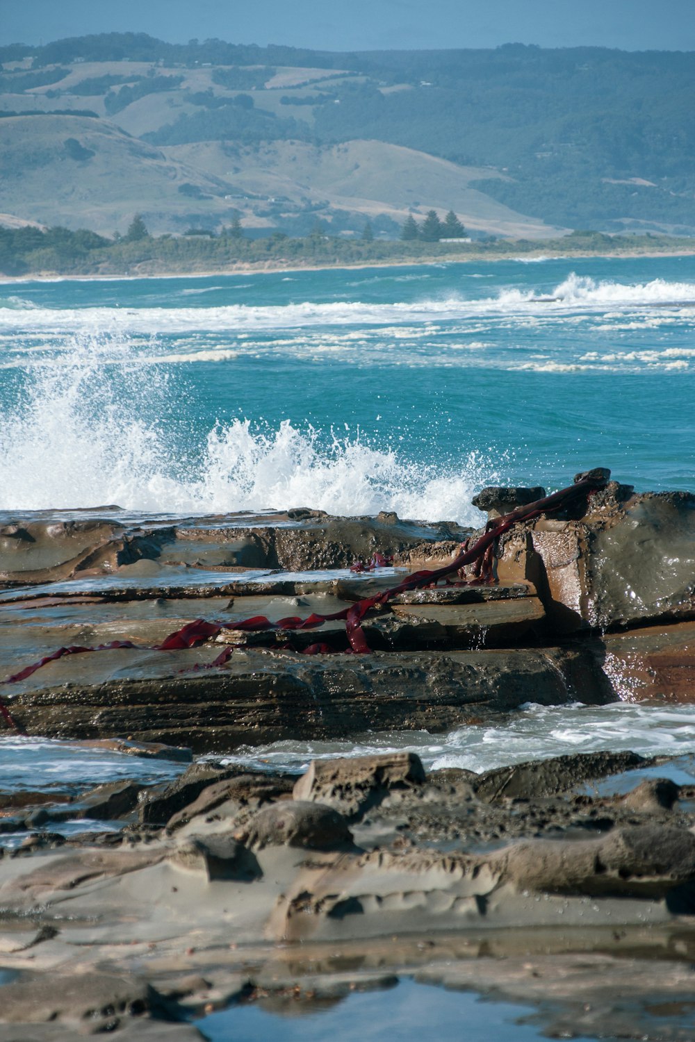 brown and black rocks on seashore during daytime