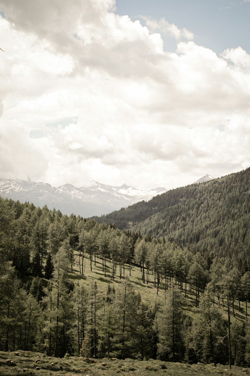 green trees near mountain under white clouds during daytime