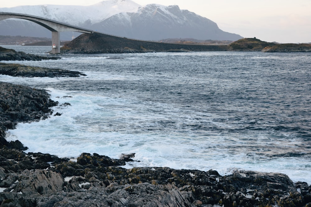 white and brown wooden bridge over the sea during daytime