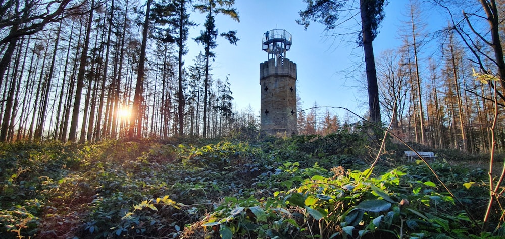 brown concrete tower surrounded by green trees during daytime