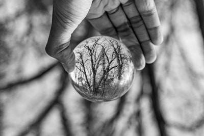 A hand is holding a crystal ball in front of a blurred background. Inside the crystal ball, there is a clear, inverted reflection of leafless trees, creating a sharp contrast with the soft background.