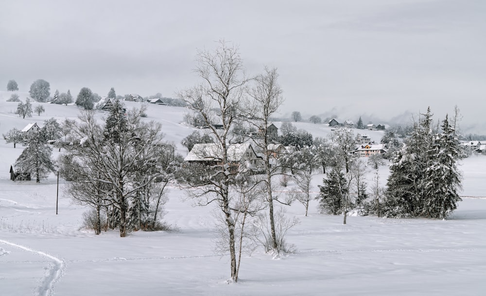 a snow covered field with trees and a house in the distance