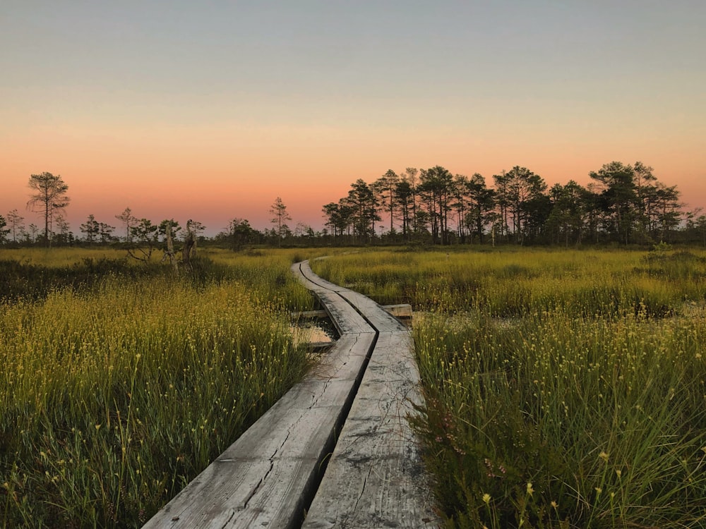 gray wooden pathway between green grass field during sunset