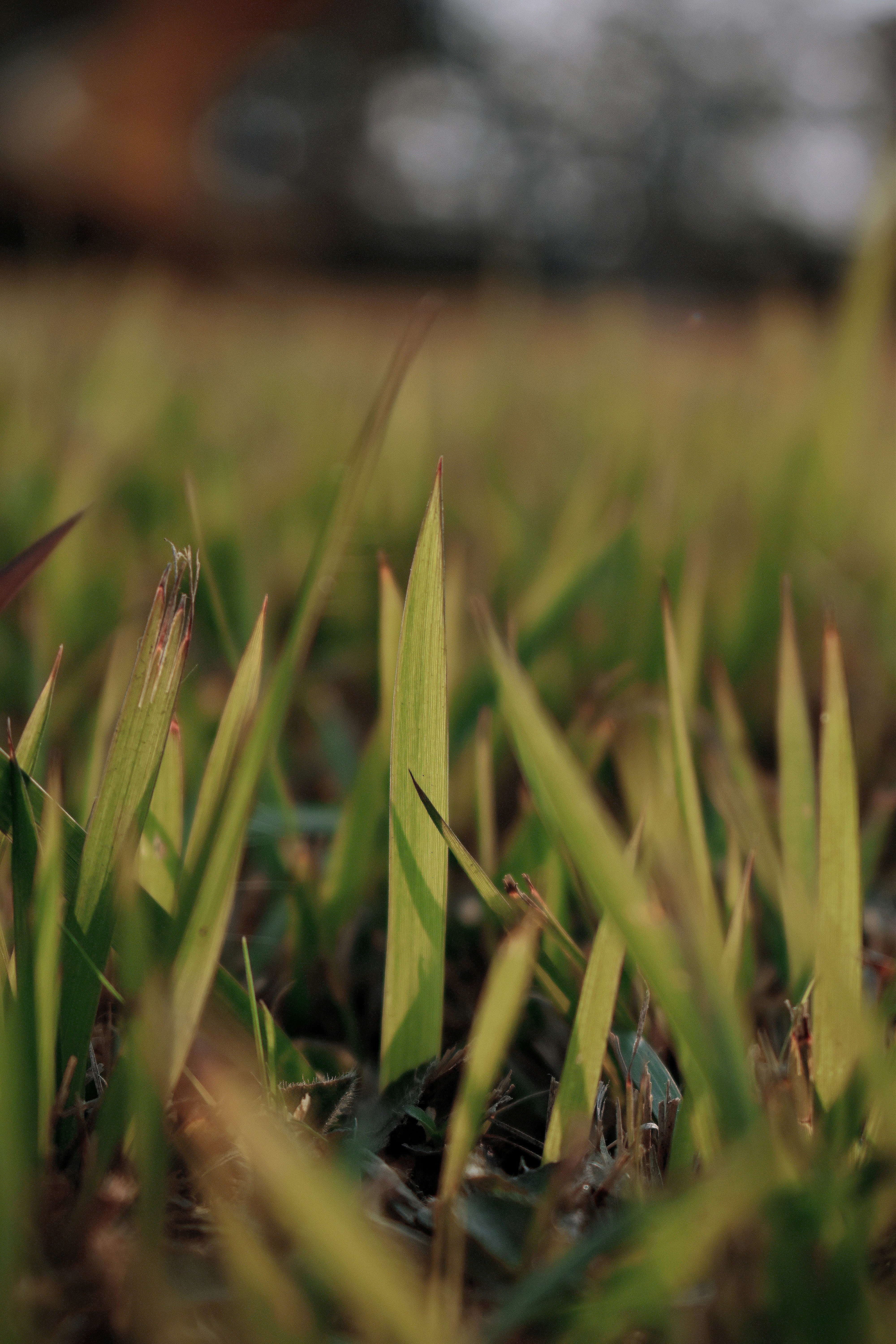 Photo by shubhamb_30