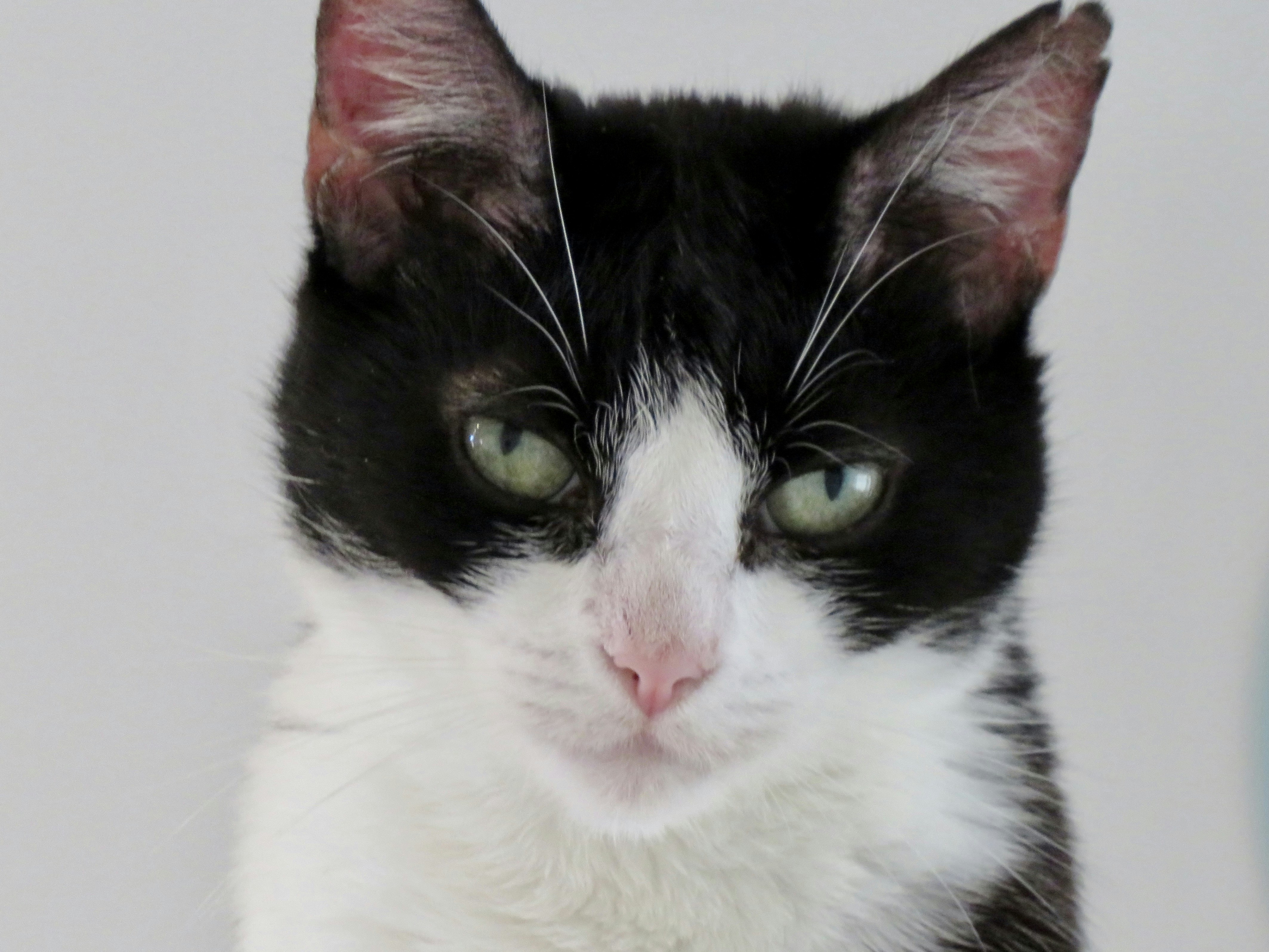 Photo by jbcphotography