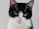 black and white cat on white surface
