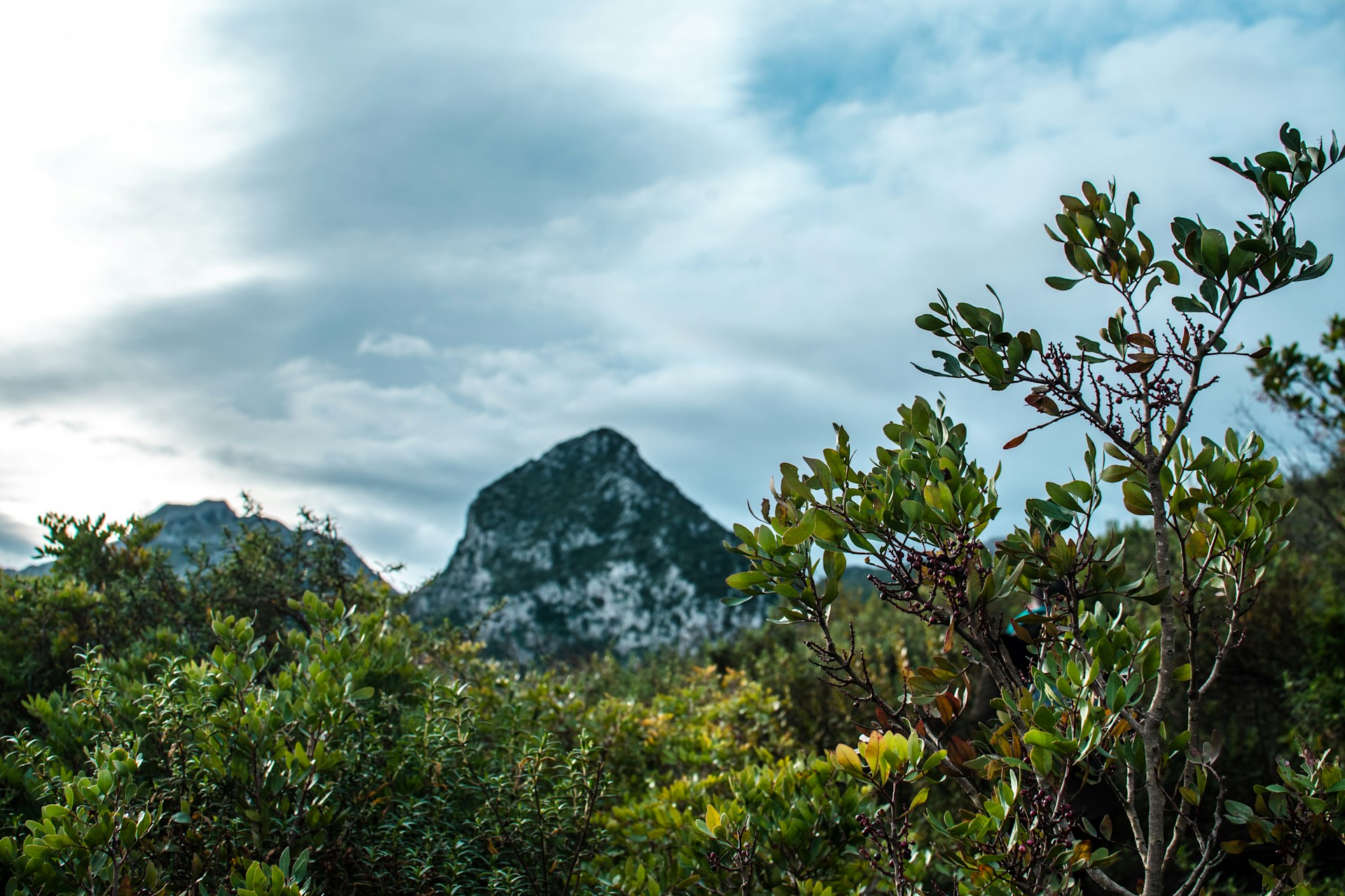 gray computer monitor