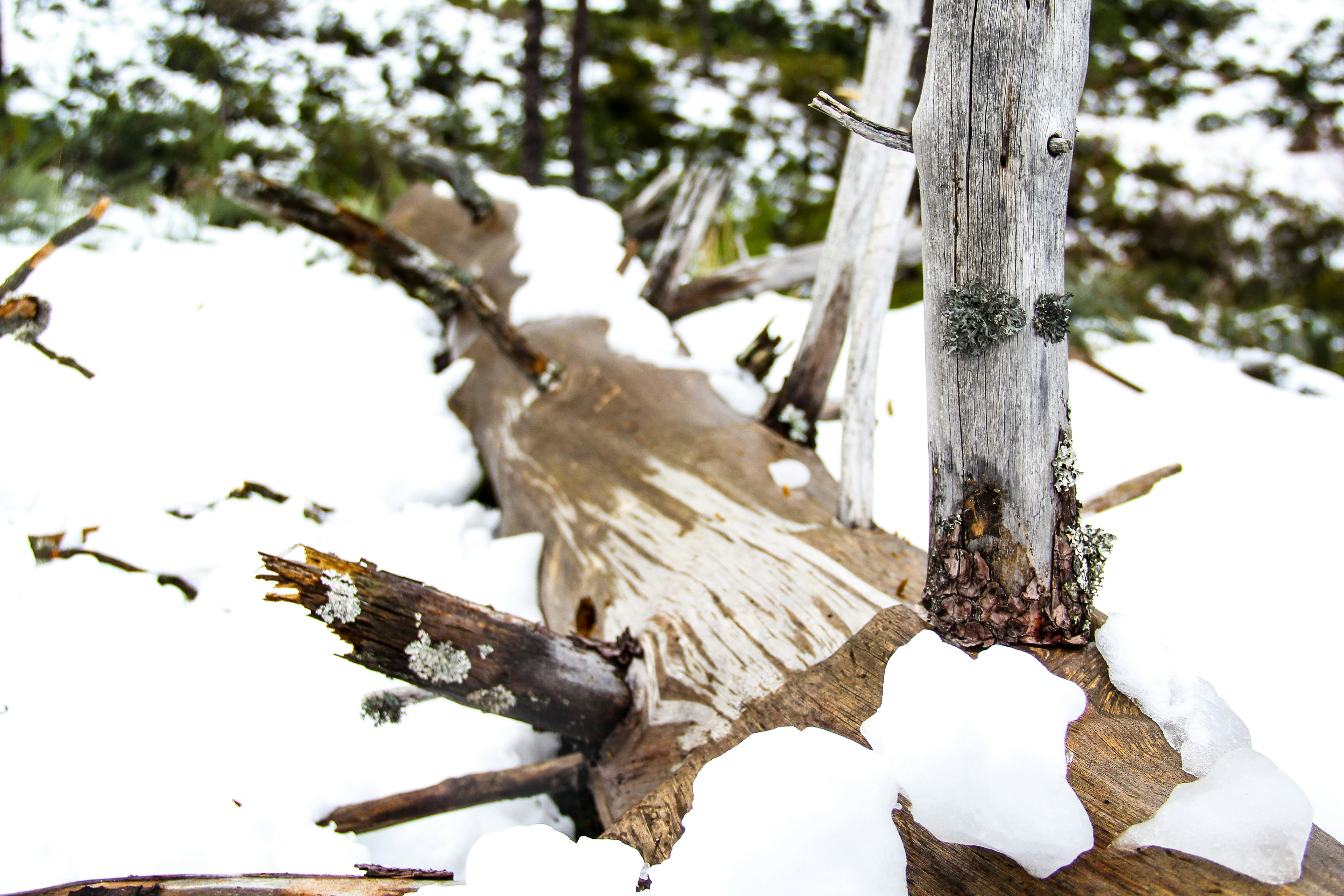 Photo by franciscofrias77