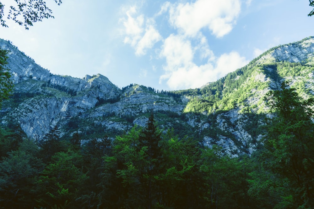 昼間の青空の下、山の緑の木々