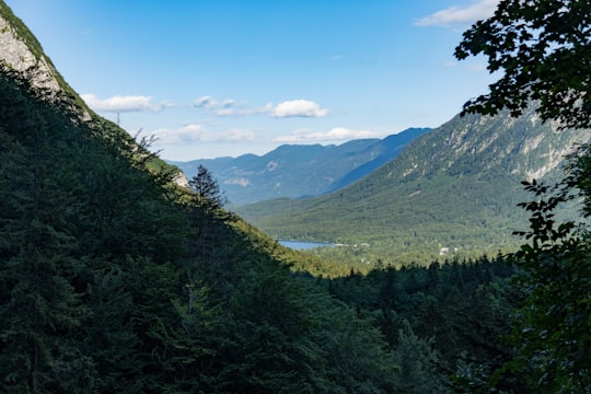 green trees on mountain under blue sky during daytime in Triglav Slovenia