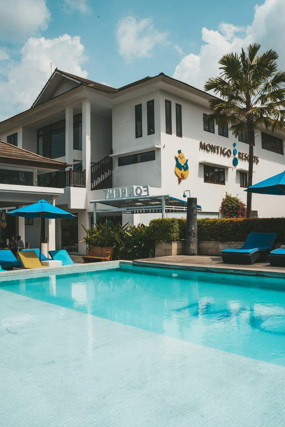 swimming pool near green palm tree during daytime