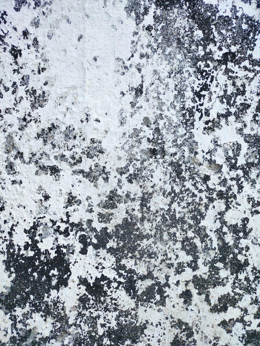 white and black abstract painting