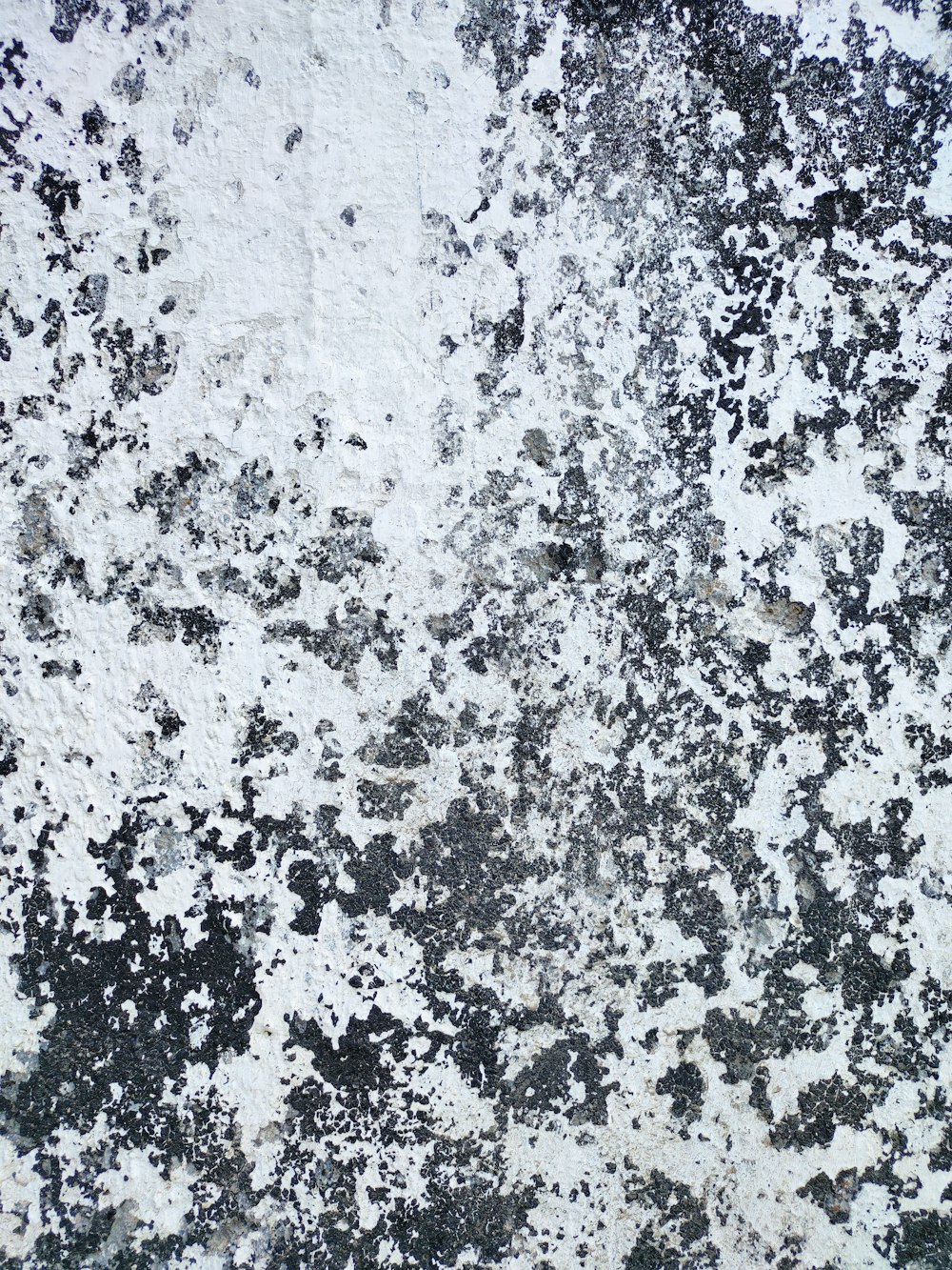 pittura astratta in bianco e nero