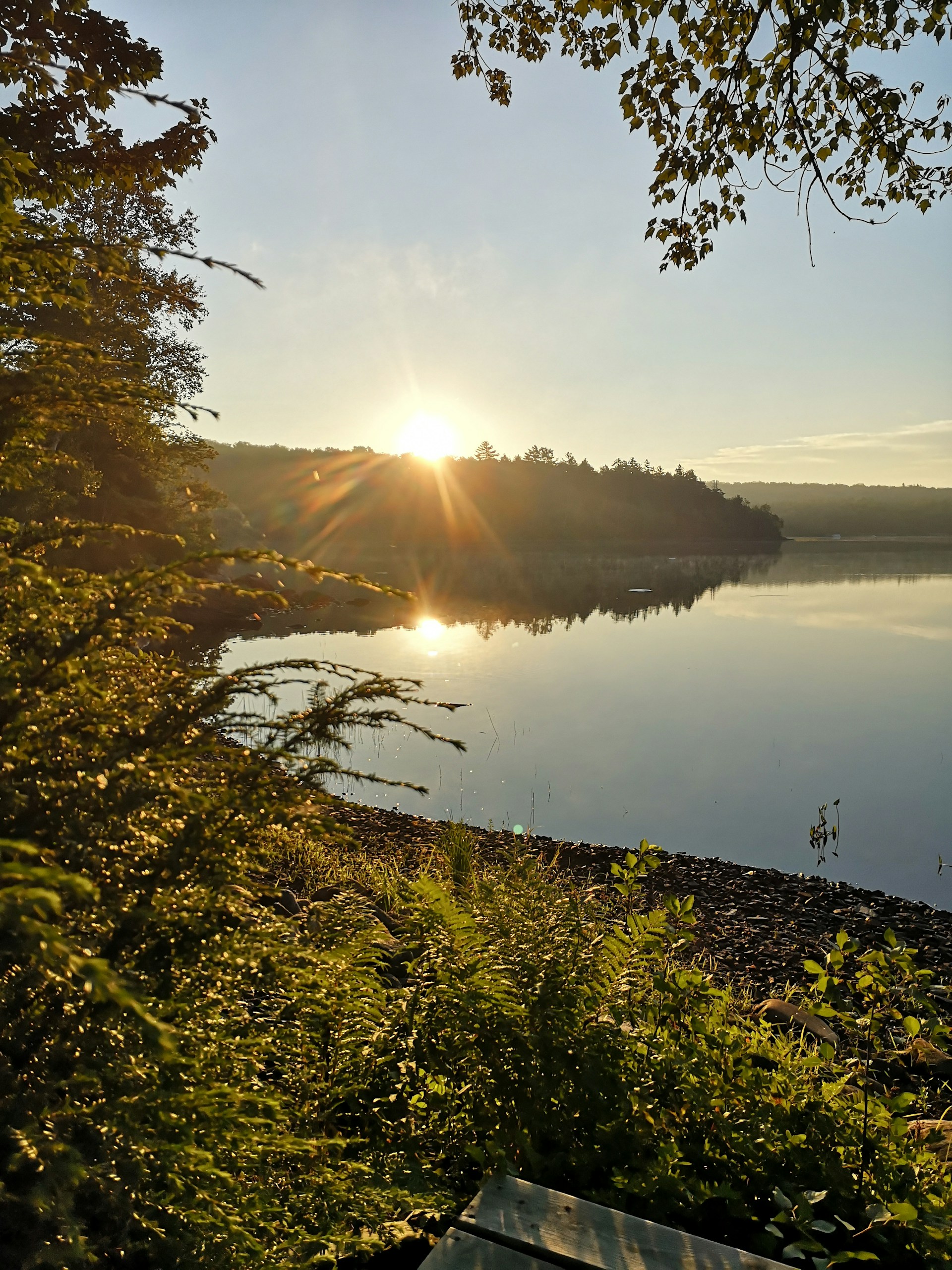 A serene lakeside scene at sunrise, with golden light reflecting off the calm water and trees lining the shore.