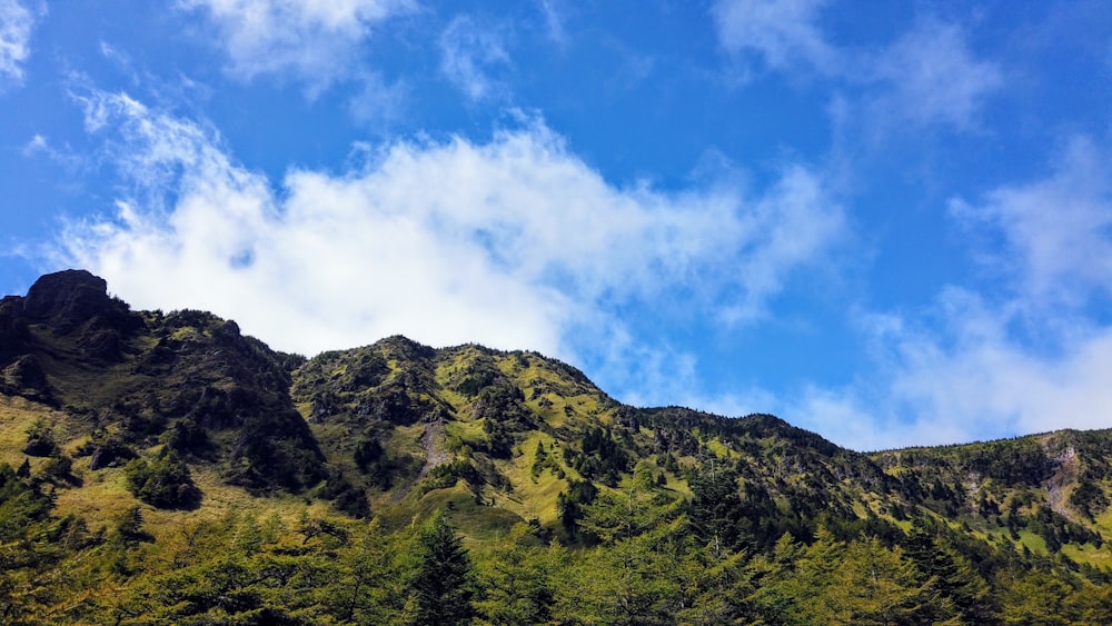 green trees on mountain under blue sky during daytime