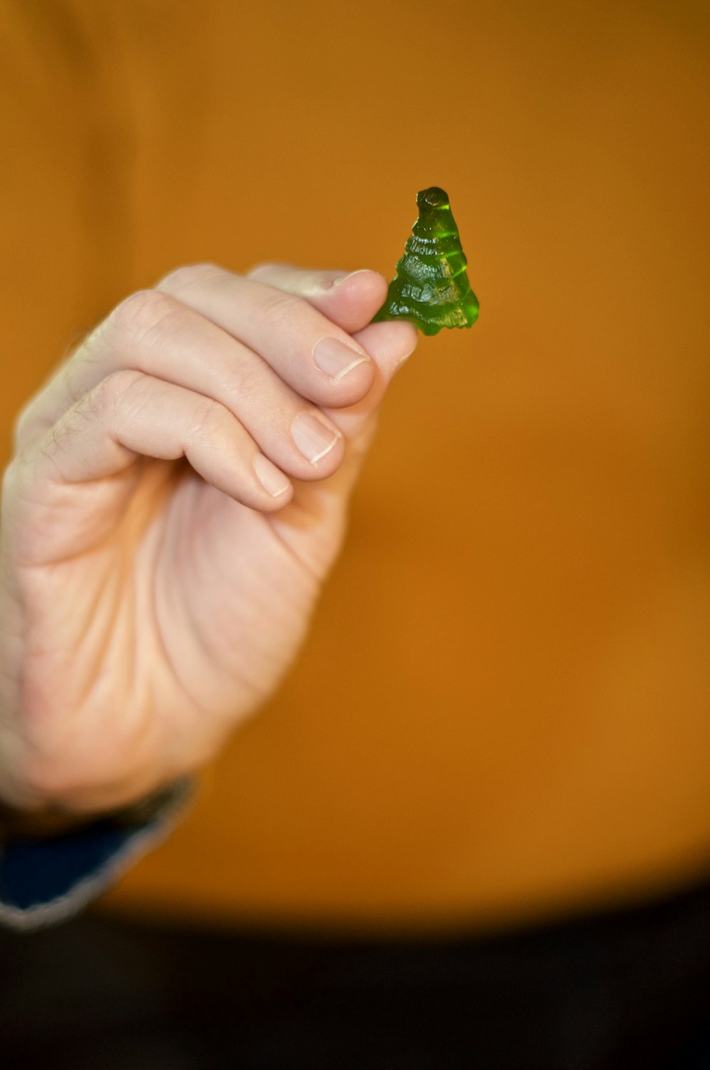 person holding green leaf in close up photography