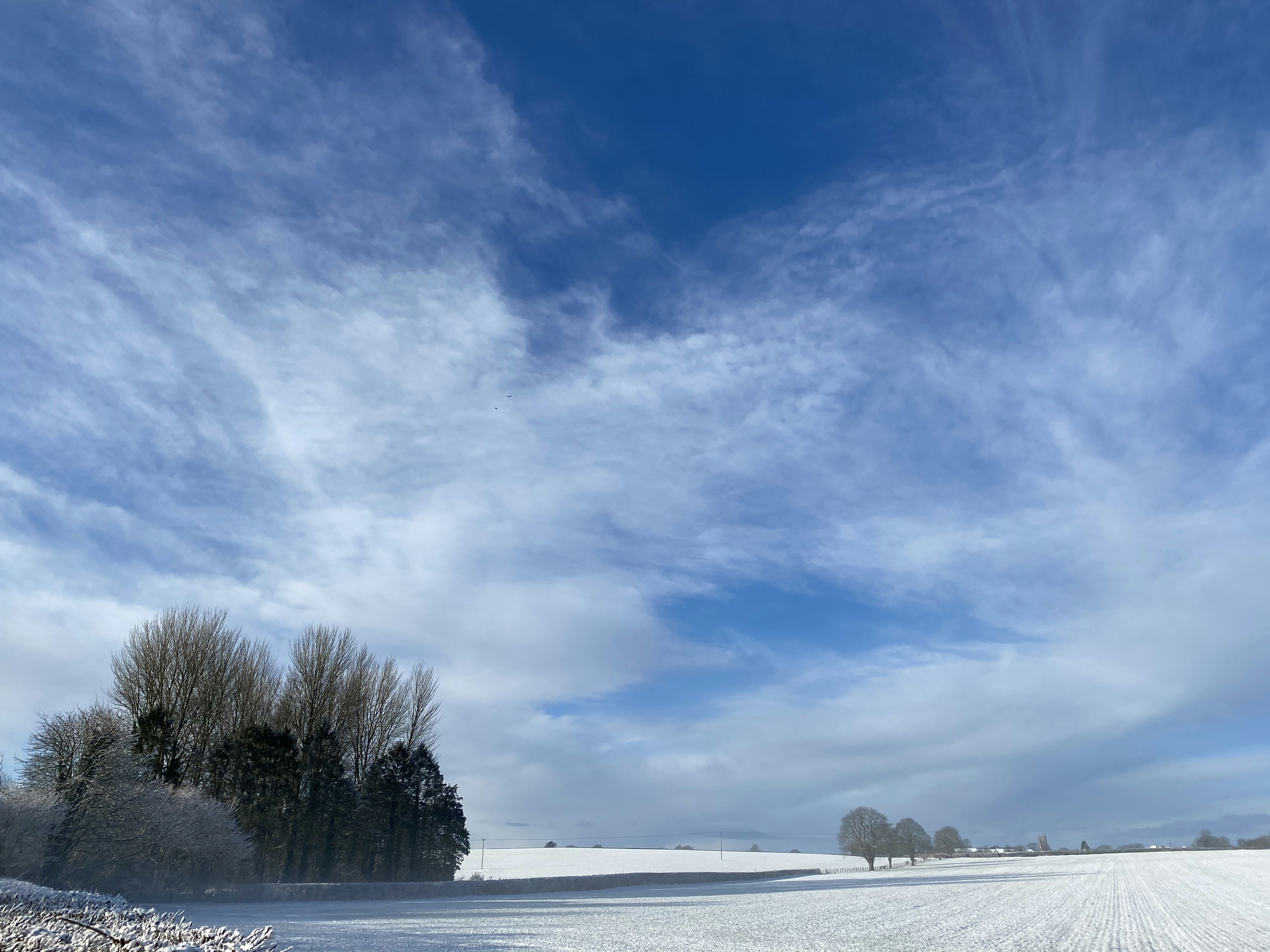 Photo by benirras_jay