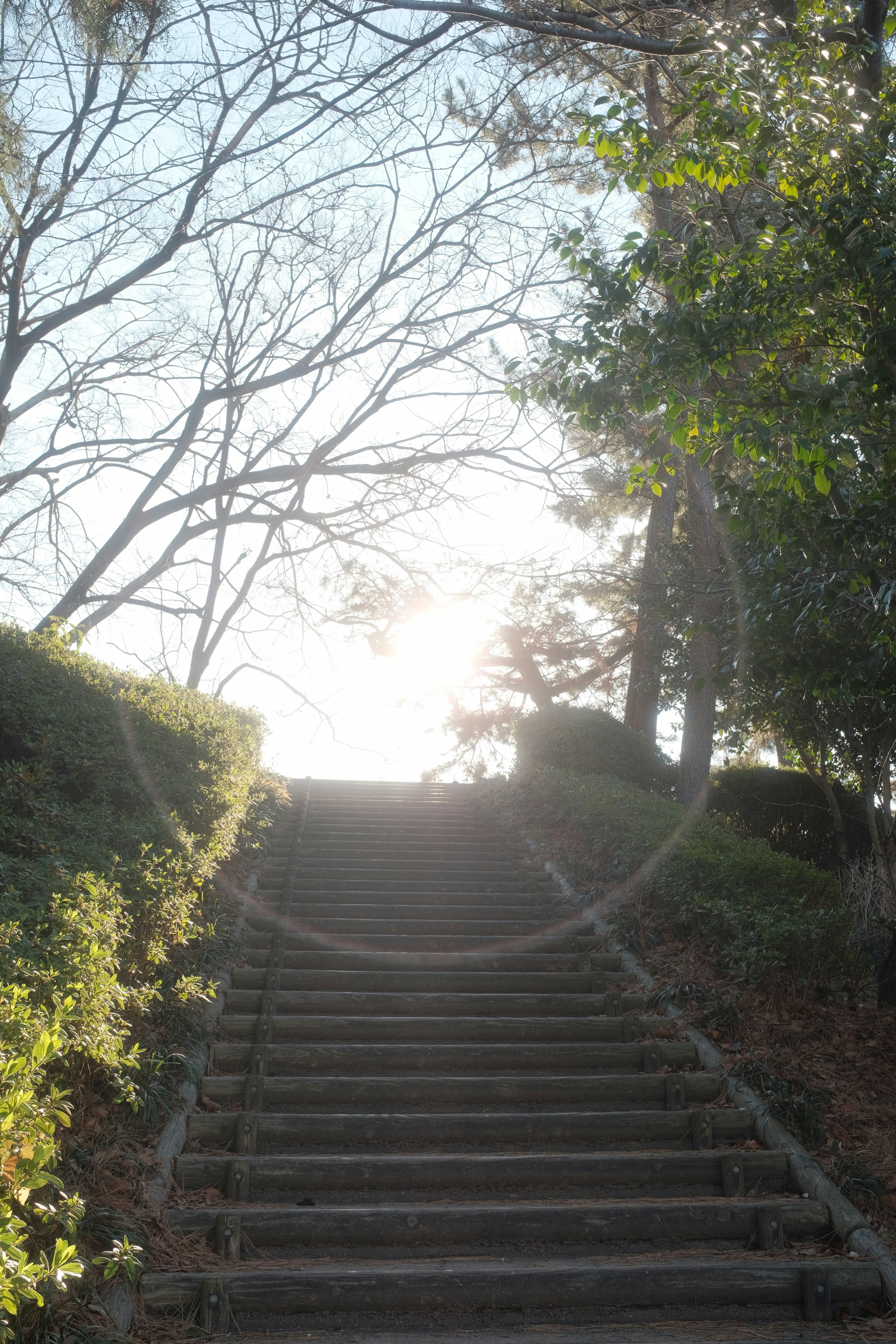 Photo by mak_jp
