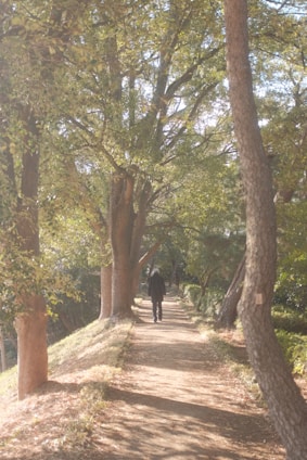 A serene image of a person enjoying a morning walk in nature, surrounded by greenery and soft sunlight.