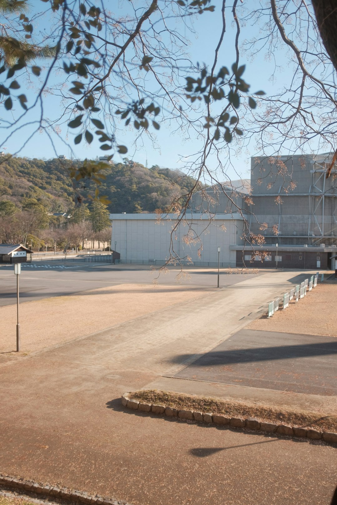 brown and white concrete building near trees and body of water during daytime