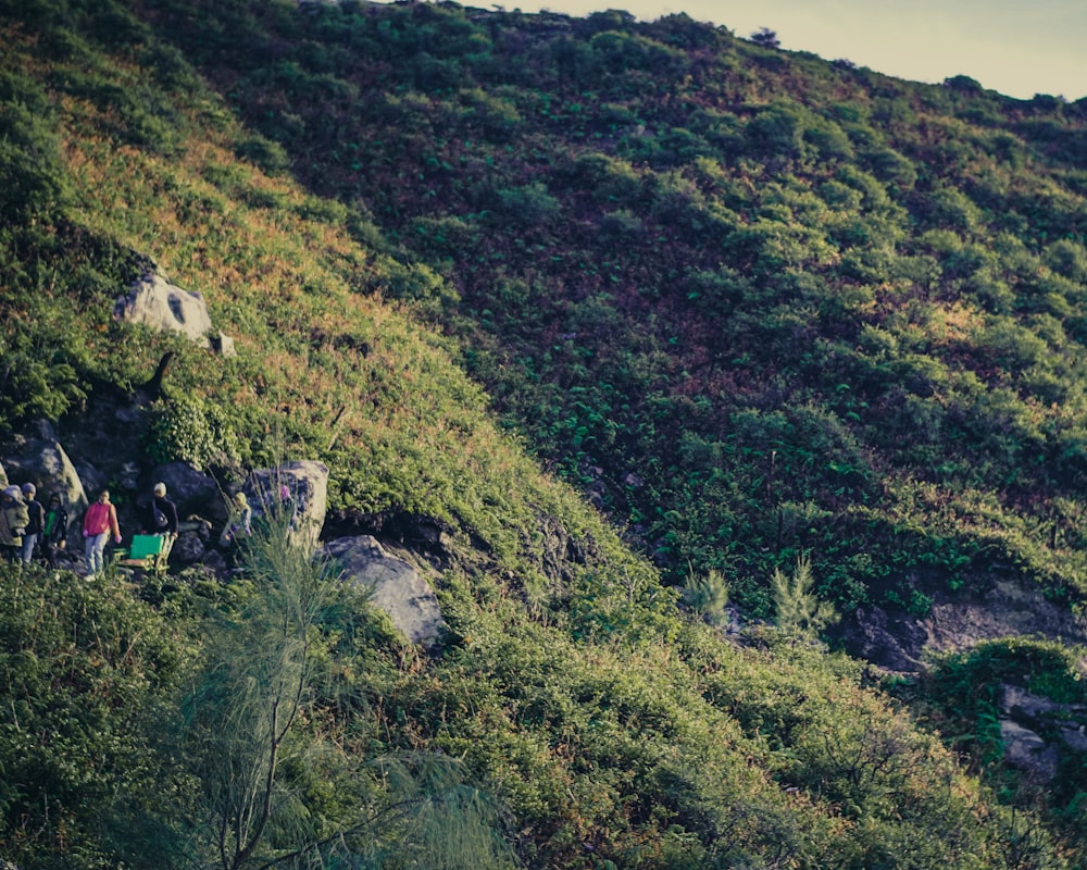 people sitting on rock mountain during daytime