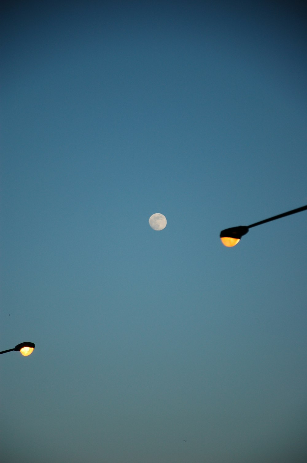 black and yellow light post under blue sky during night time