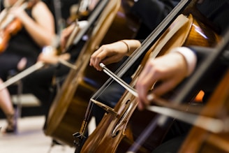 person playing brown wooden violin