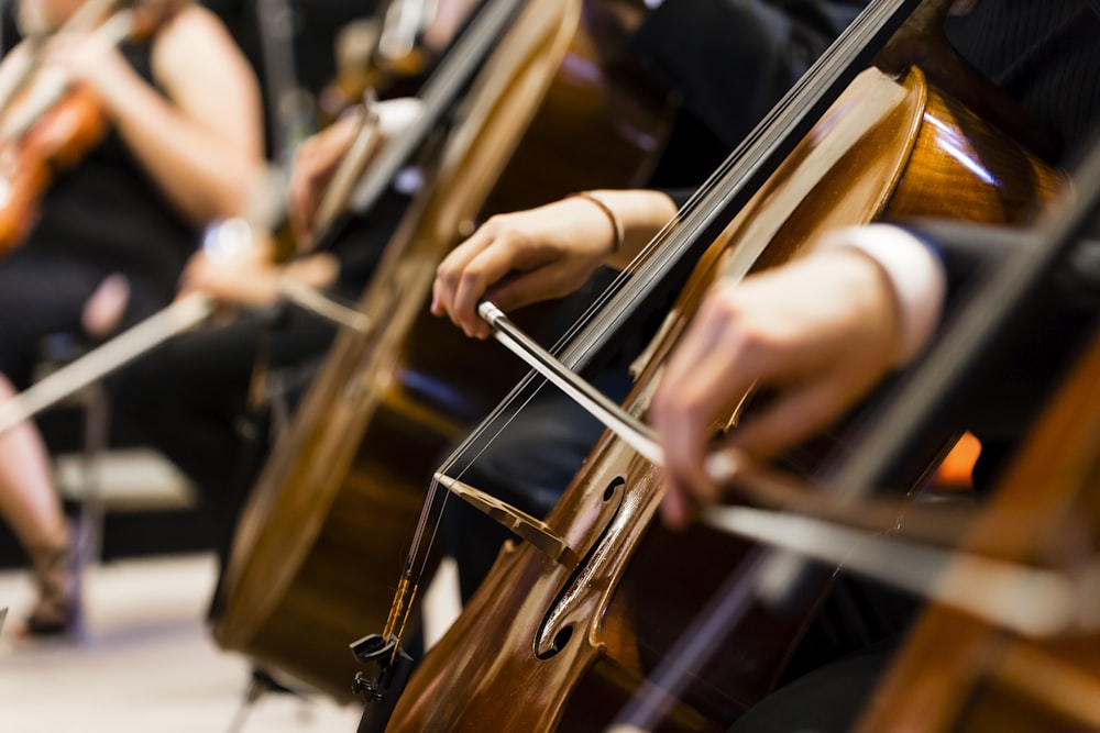 person playing brown wooden violin