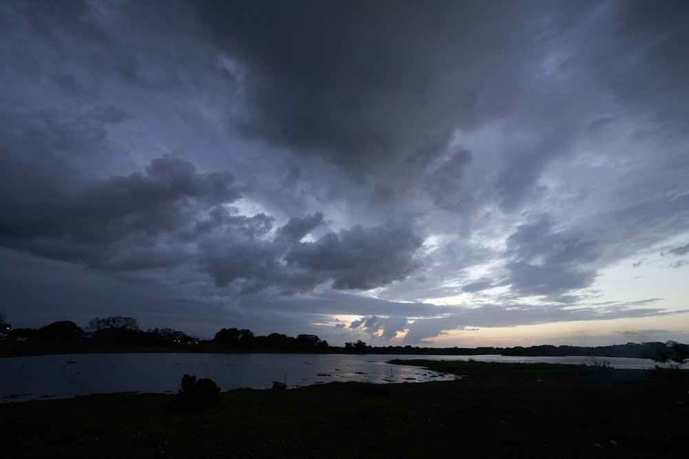 silhouette of trees near body of water under cloudy sky during daytime