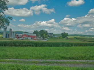A wide expanse of farmland with a red barn and silos in the center, surrounded by green fields of crops and bordered by trees. The sky is bright blue, dotted with fluffy white clouds.