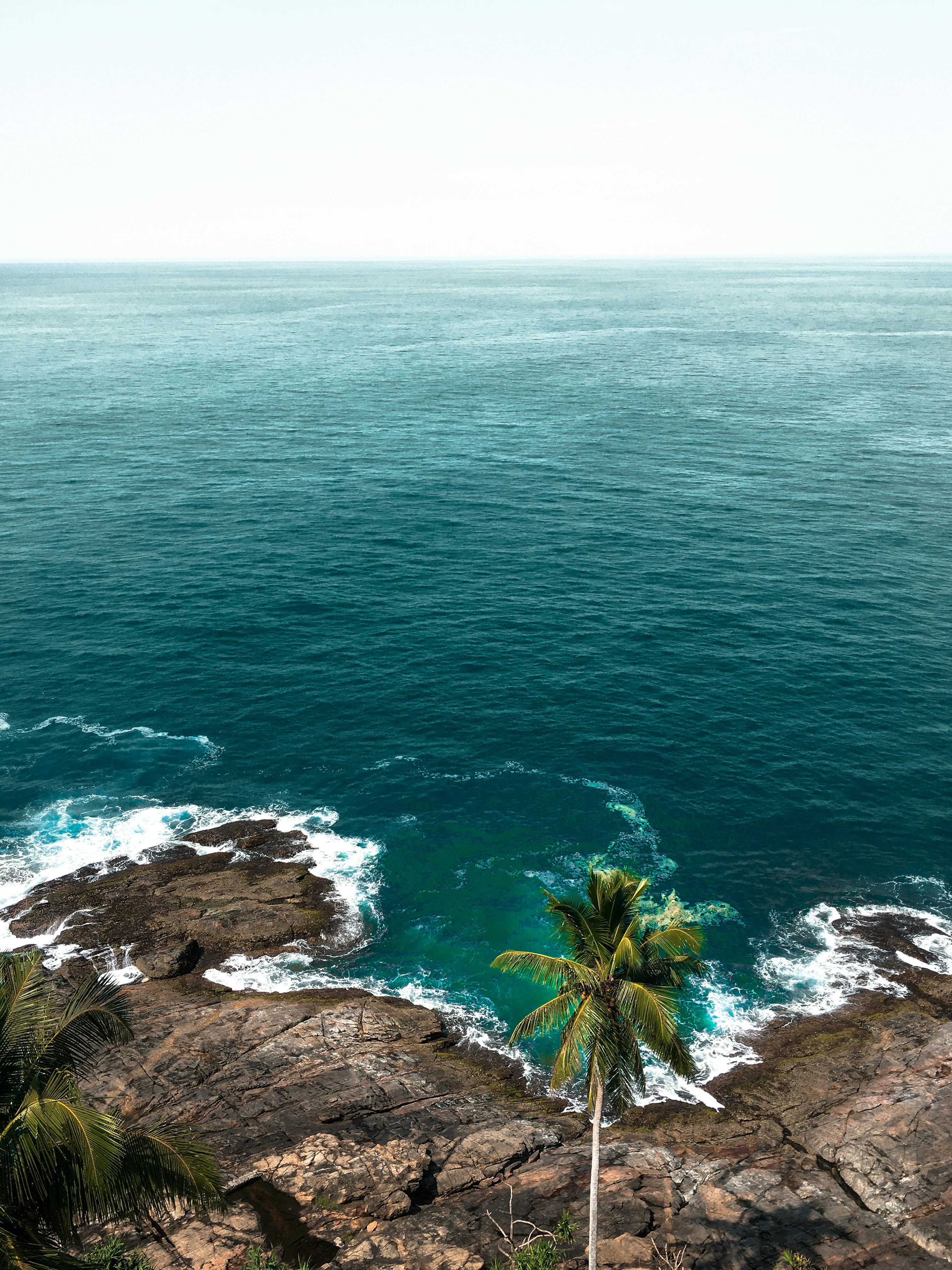 Photo by farhathfirous