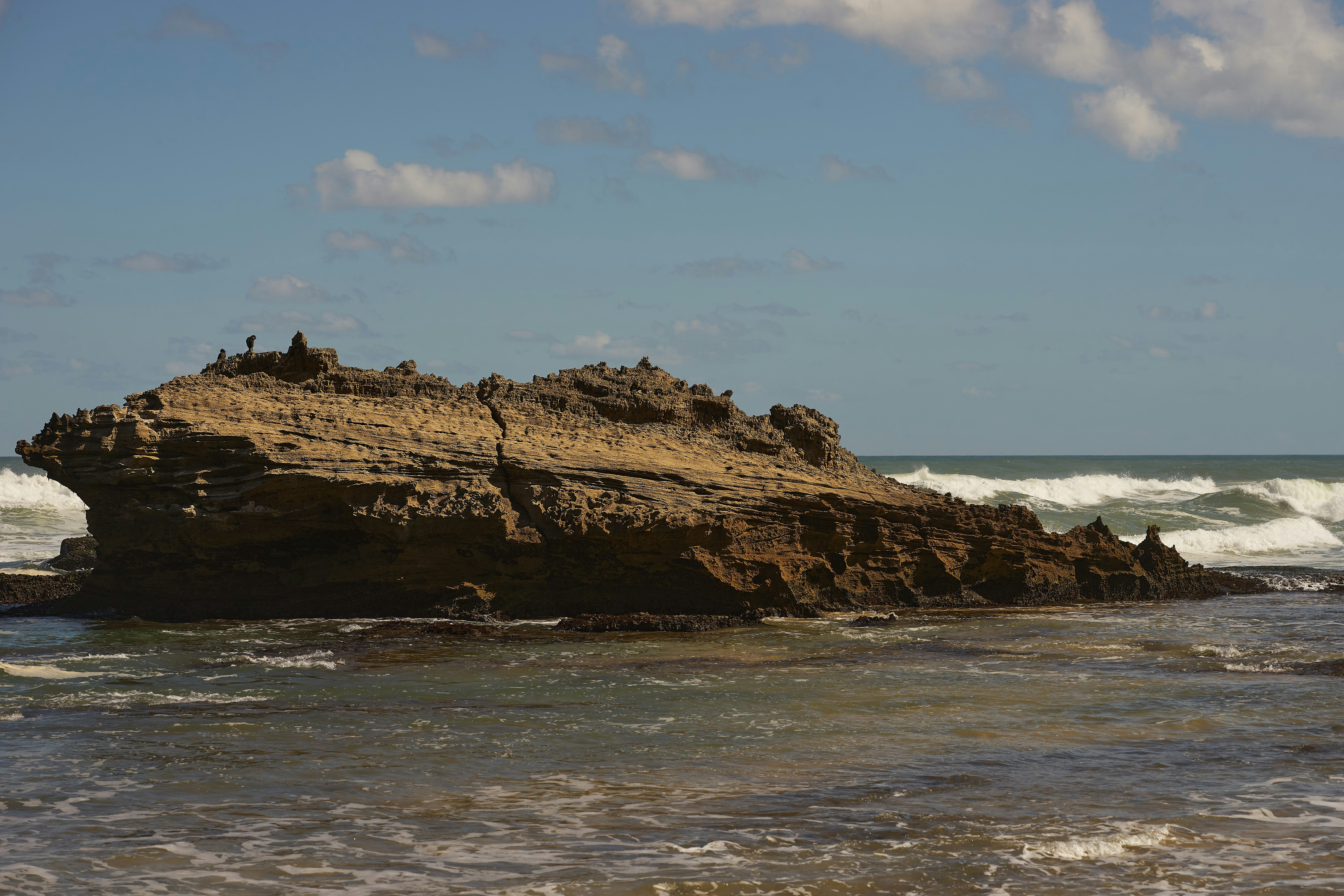 Photo by wolfgang_hasselmann