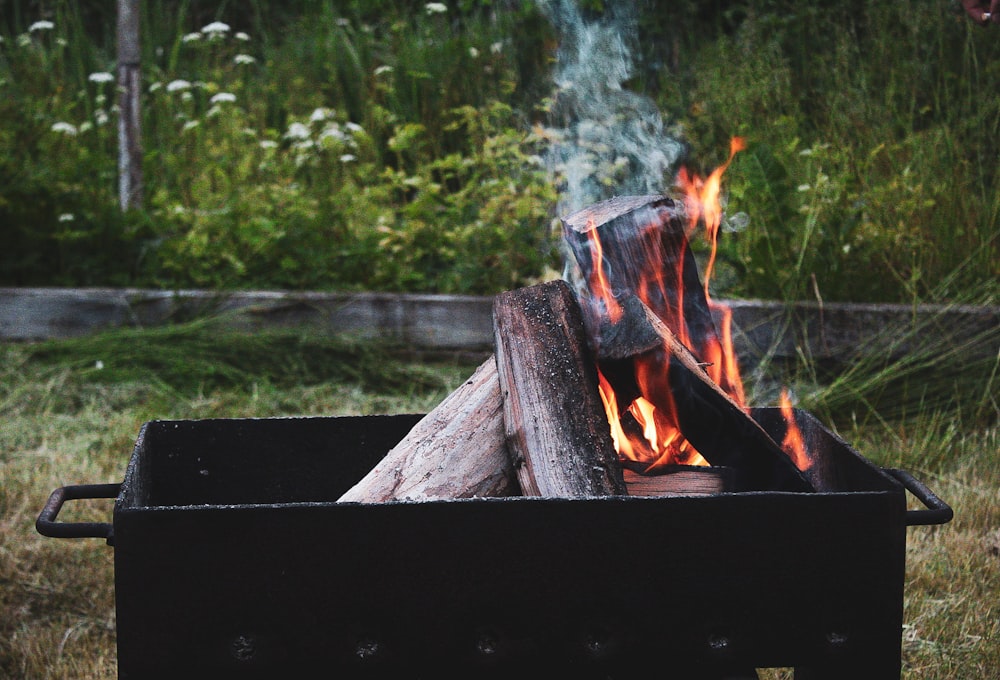 burning wood on fire pit