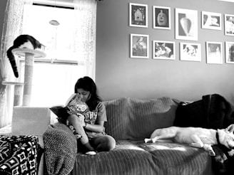 A cozy room with a young girl reading a book on a couch beside a sleeping dog. A cat lounges on a cat tree by the window. Various framed artwork is displayed on the wall above the couch.
