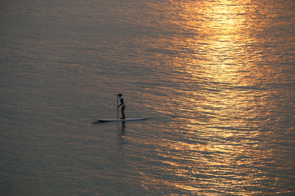 Mann im schwarzen Neoprenanzug auf dem Gewässer bei Sonnenuntergang