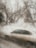 A foggy glass surface partially obscures the view of a car outside, while the blurred silhouettes of bare tree branches are visible in the background.