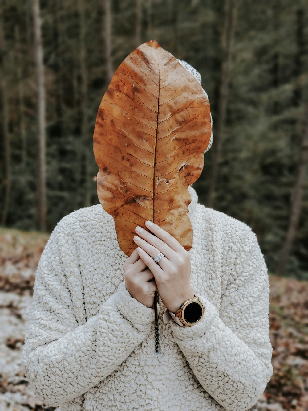 person holding brown leaf during daytime