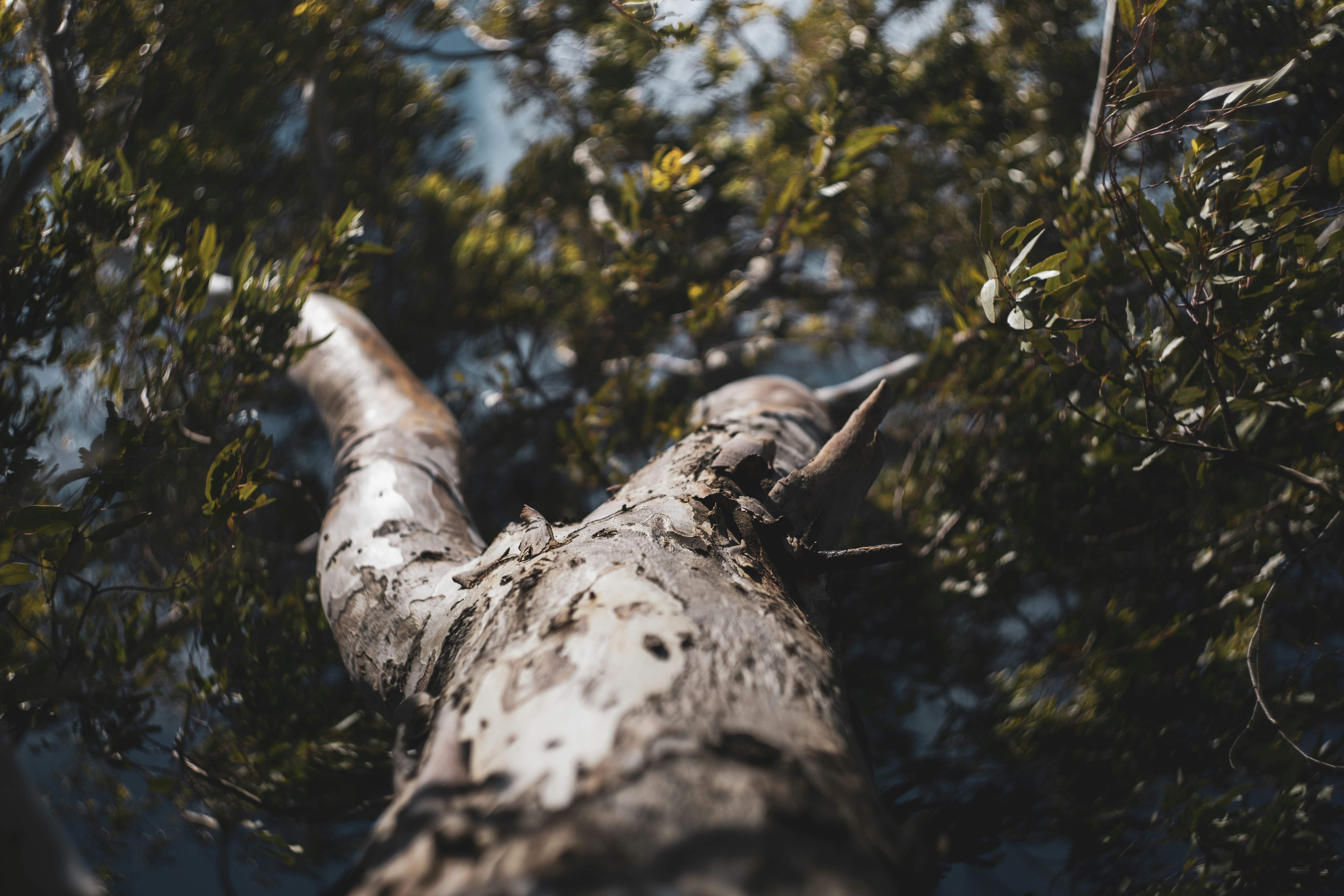 Photo by victor_vector