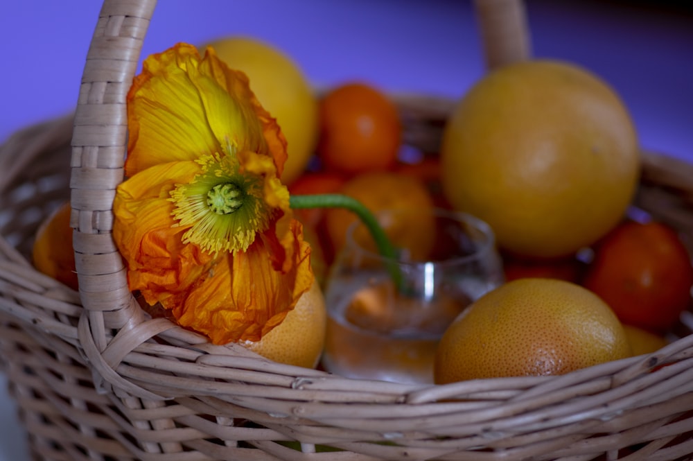 frutos alaranjados na cesta tecida marrom