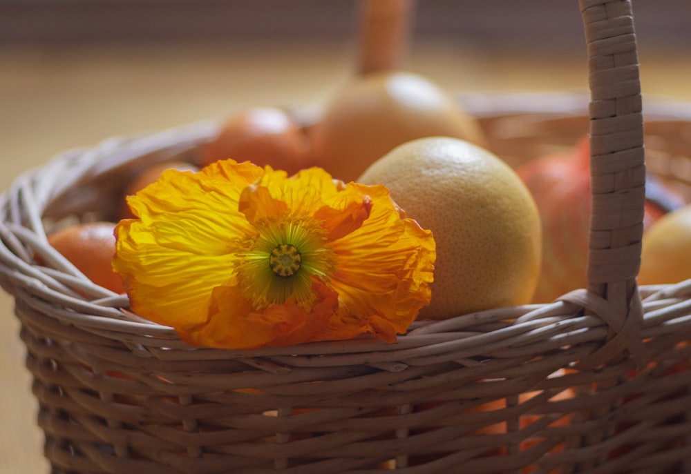 yellow flower on brown woven basket