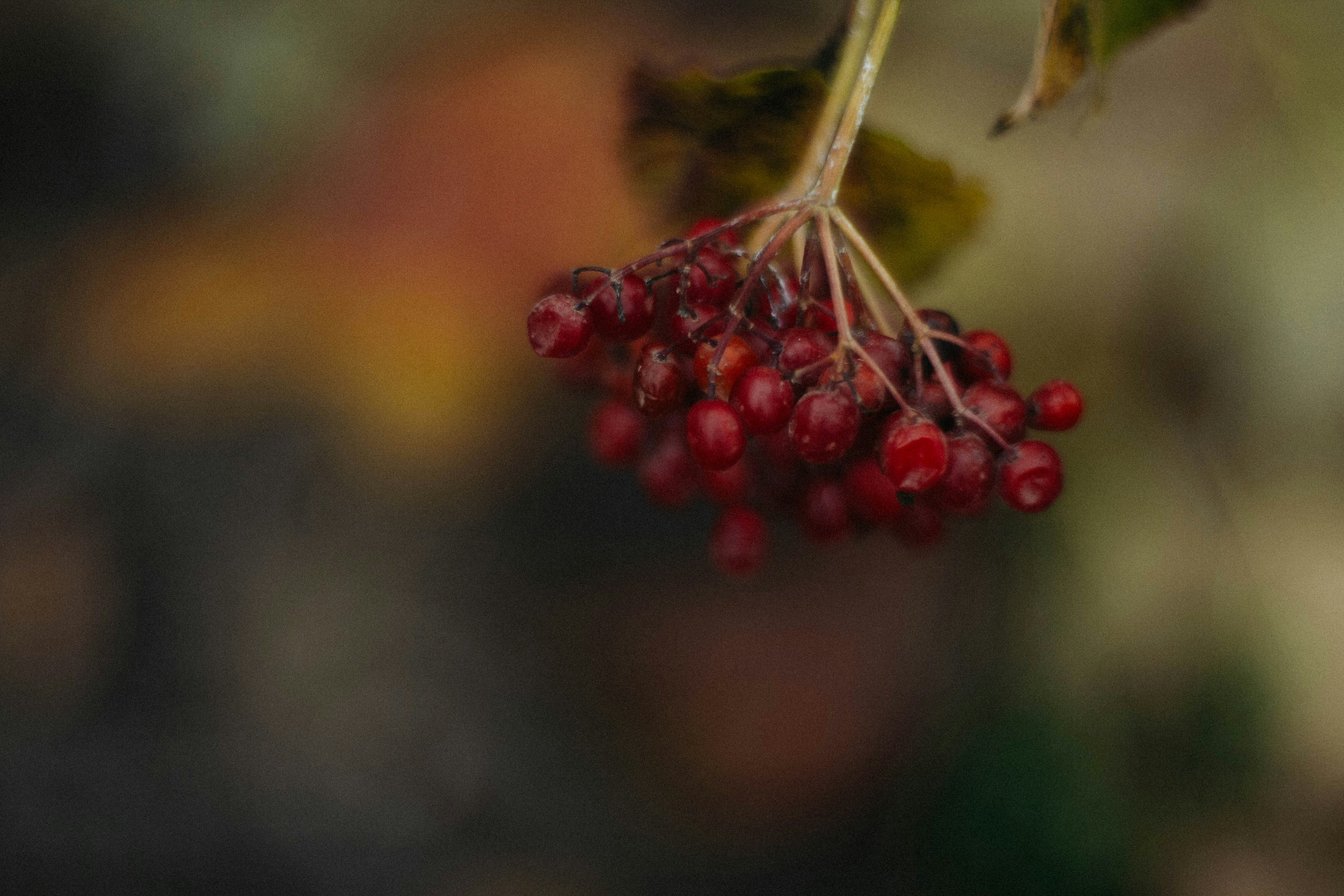 Photo by oks_strange_artist